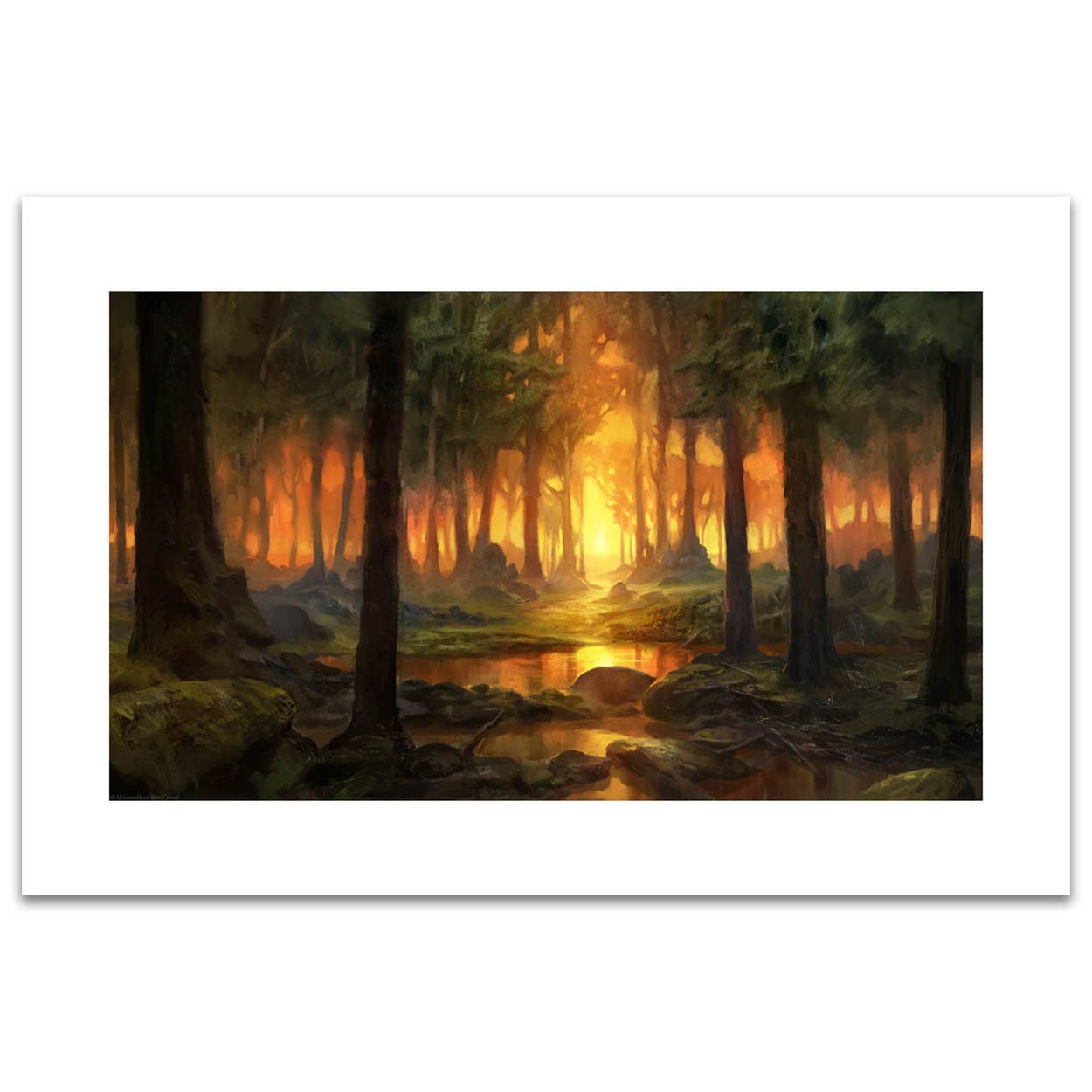 Forest Print (Limited Edition)