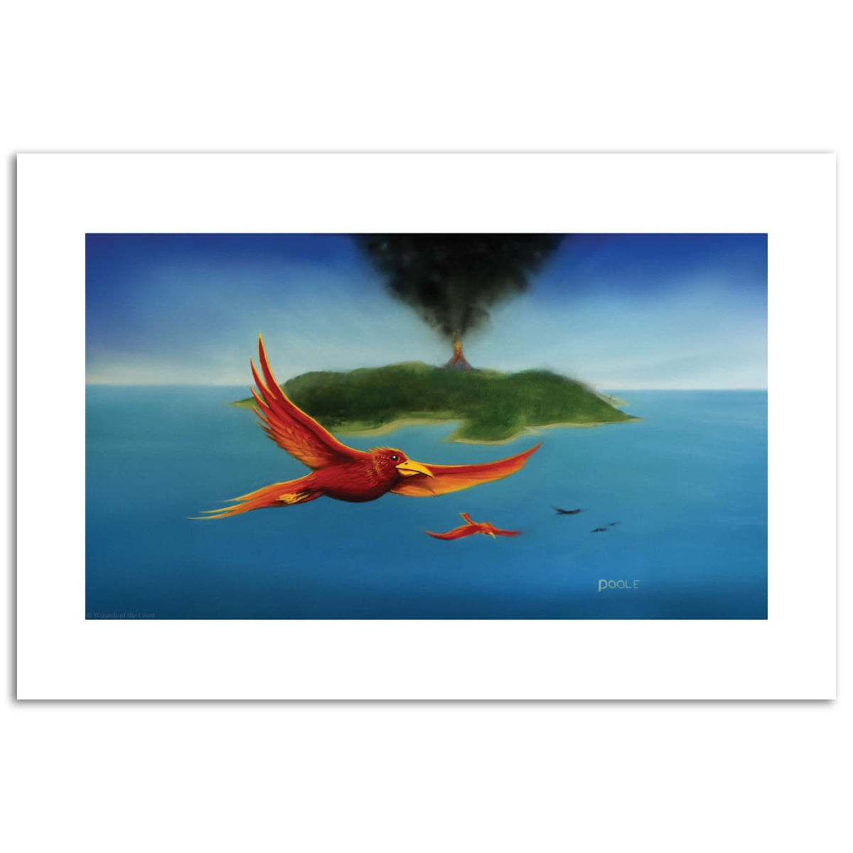 Birds of Paradise Print (Limited Edition)