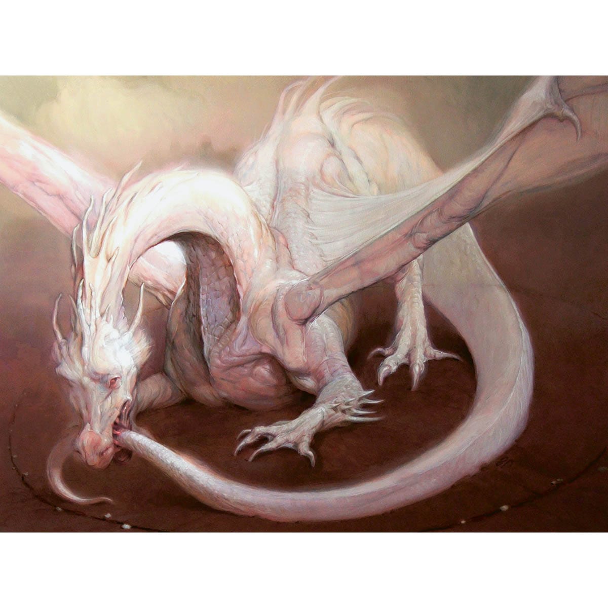 Eternal Dragon Print