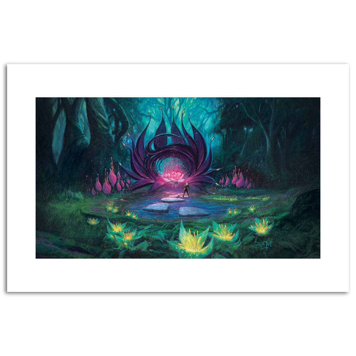 Exploration Print (Limited Edition)