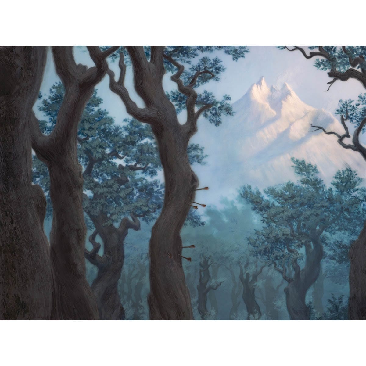 Forest (Adventures in the Forgotten Realms) Print - Original Magic Art
