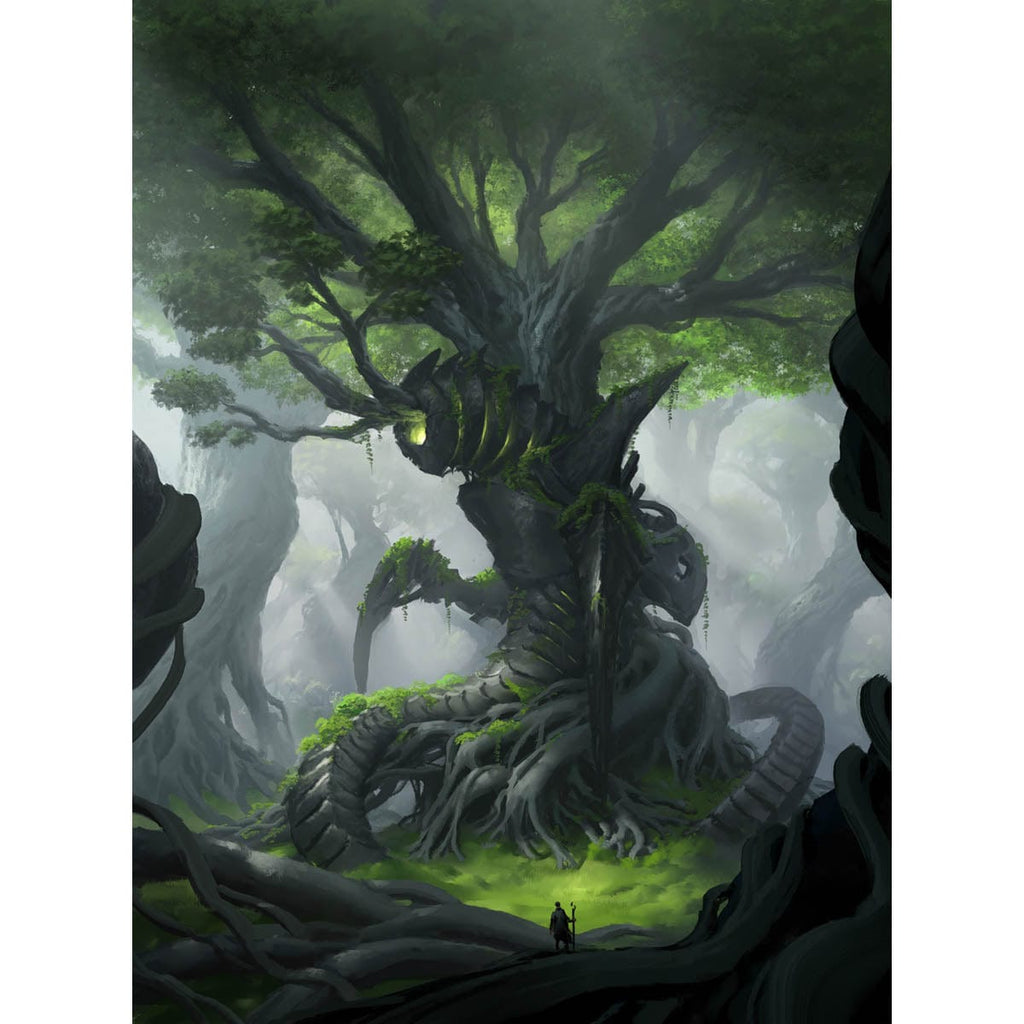 ForestBROFullArt_1024x1024.jpg