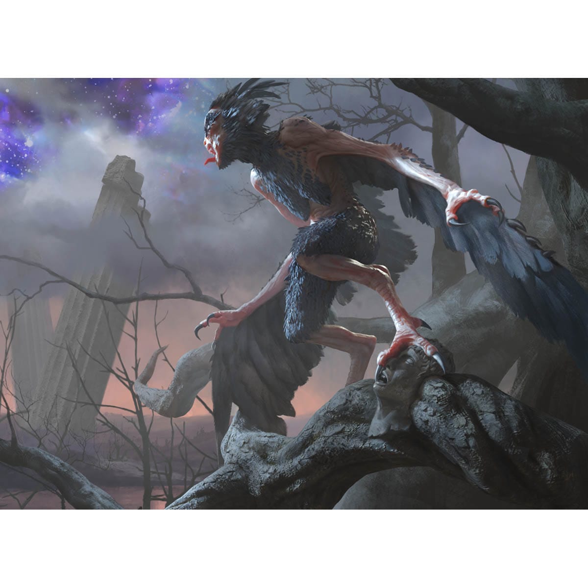 Scavenging Harpy Print