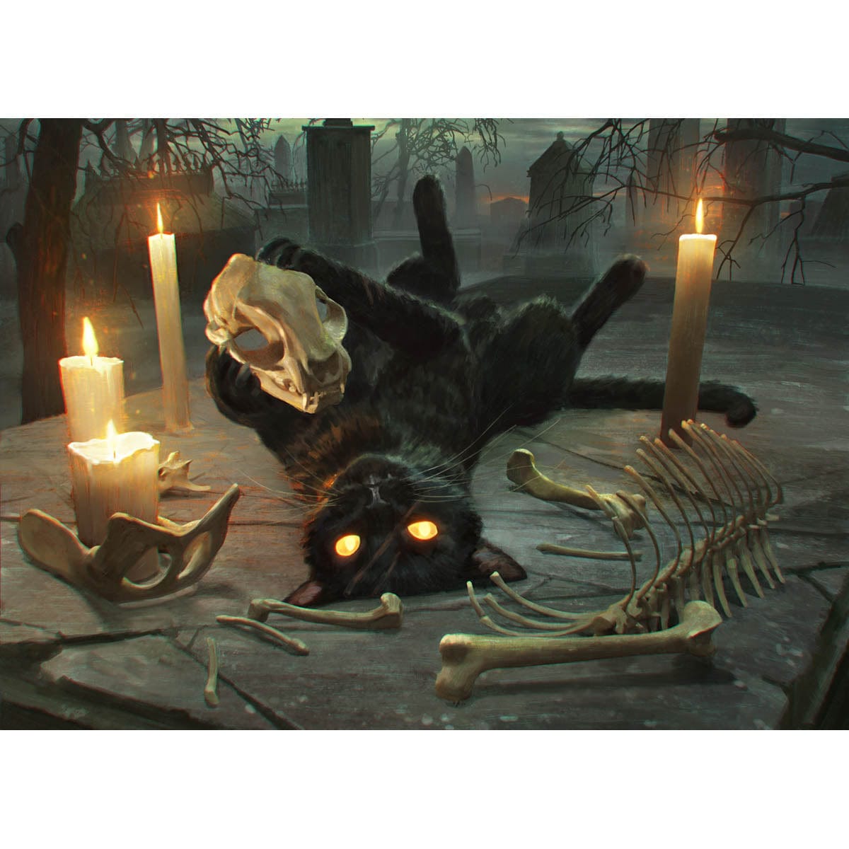 Nine-Lives Familiar Print