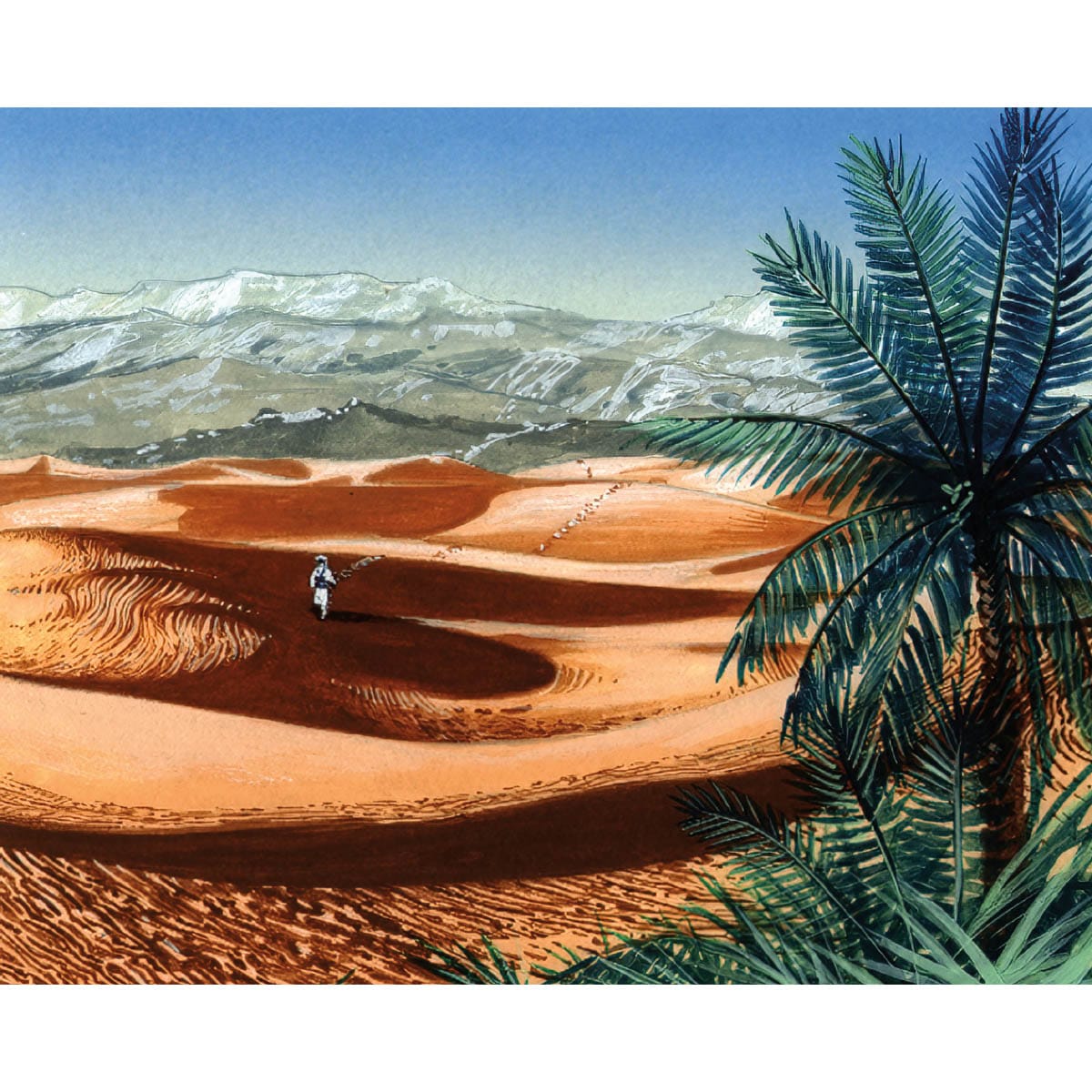 Oasis Print