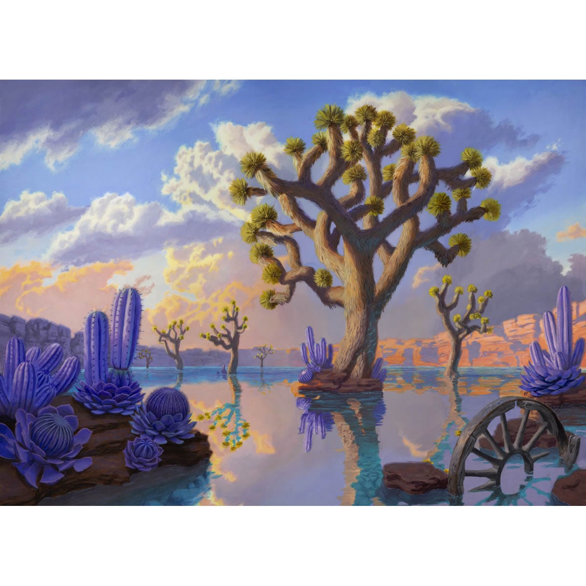 Overflowing Basin Print