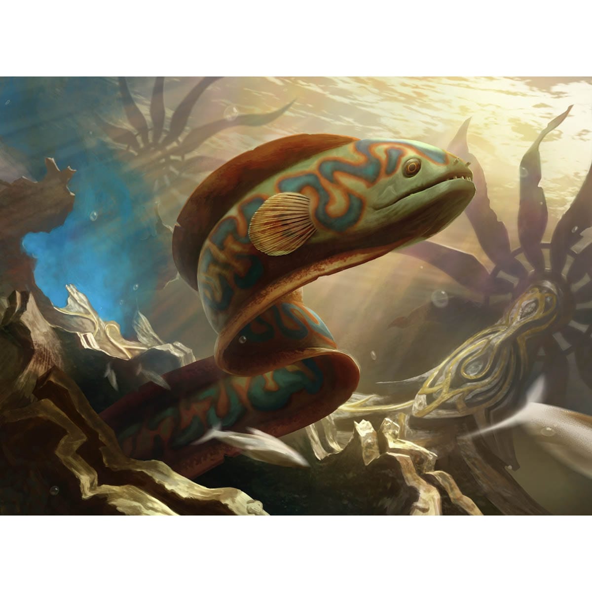 Shipwreck Moray Print