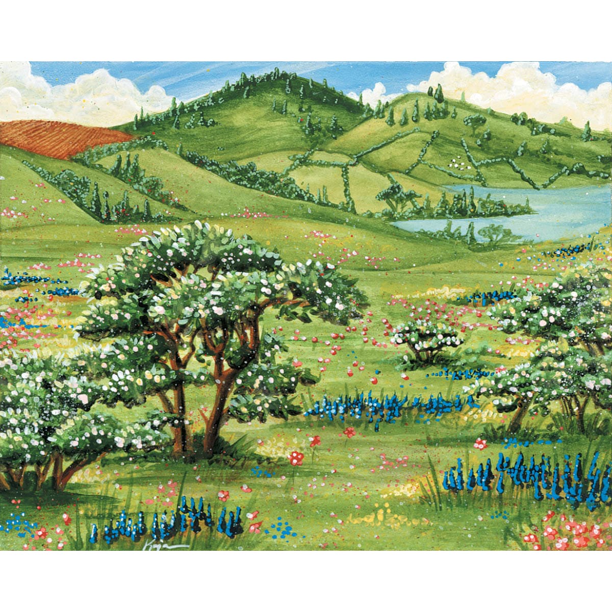 Summer Bloom Print
