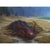 Shore Keeper Print - Print - Original Magic Art - Accessories for Magic the Gathering and other card games