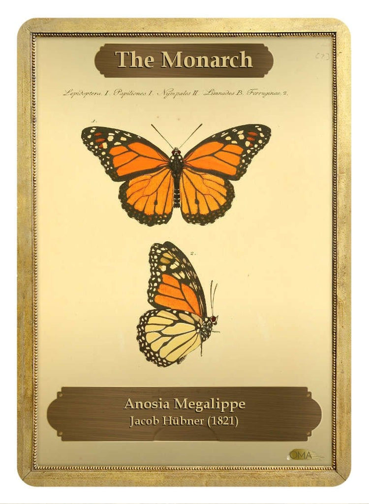 The Monarch Token by Jacob Hübner - Original Magic Art