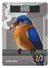 Bird Token (2/2) by Andrea Radeck