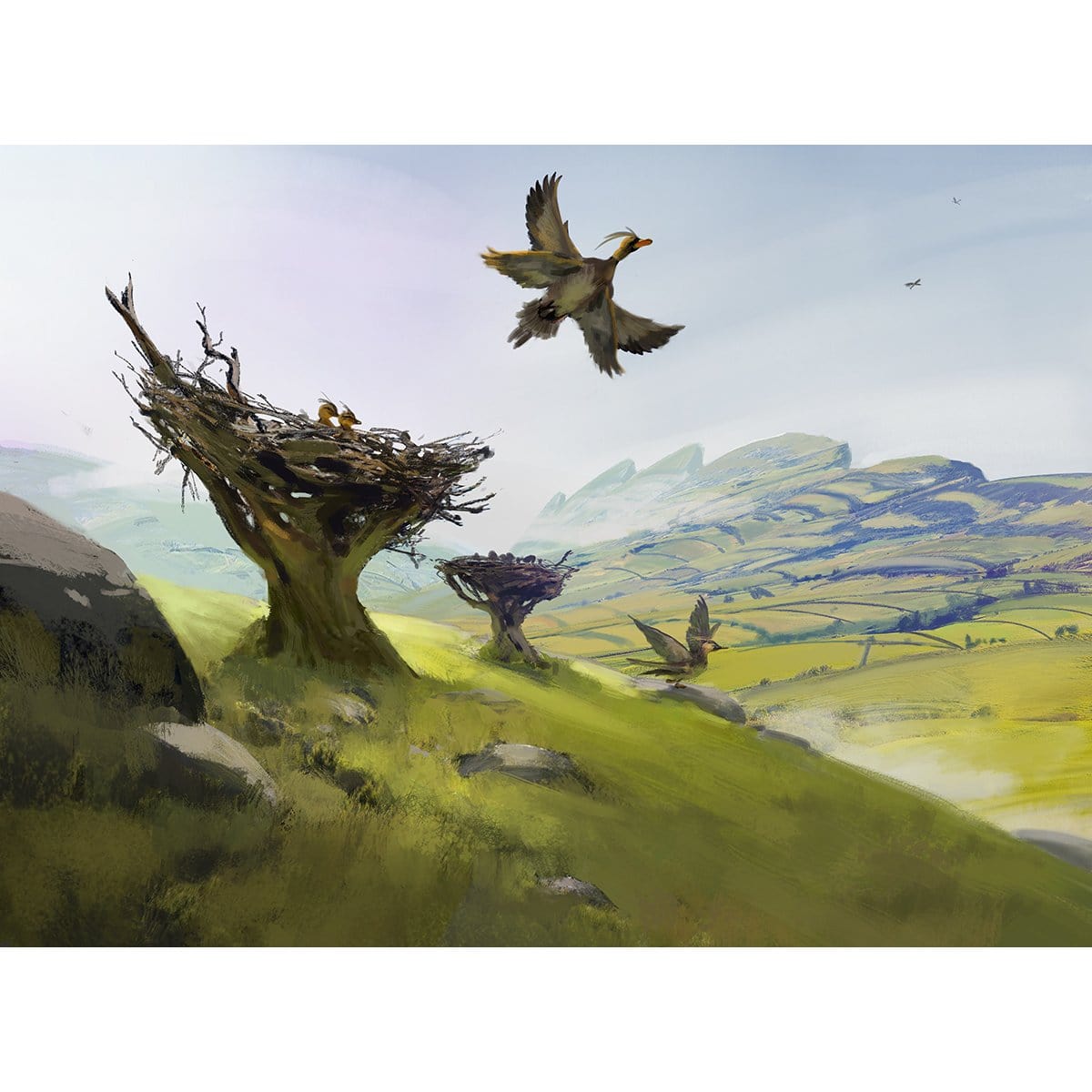 Feathered Friends Plains Print