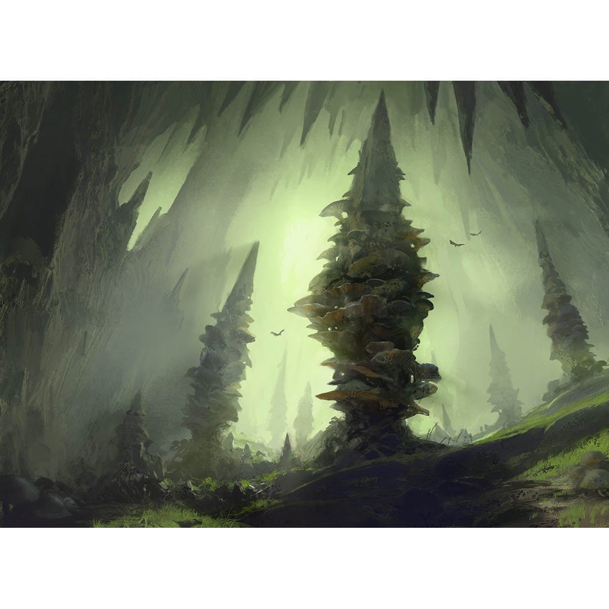 Forest (Adventures in the Forgotten Realms) Print