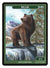 Bear Token (2/2) by Jeff A. Menges - Token - Original Magic Art - Accessories for Magic the Gathering and other card games