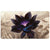 Black Lotus Playmat - Playmat - Original Magic Art - Accessories for Magic the Gathering and other card games