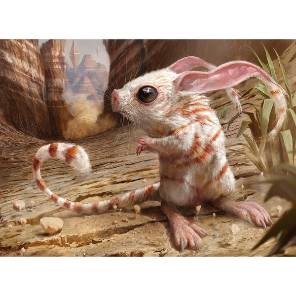 CanyonJerboa_600x.jpg?v=1629006551
