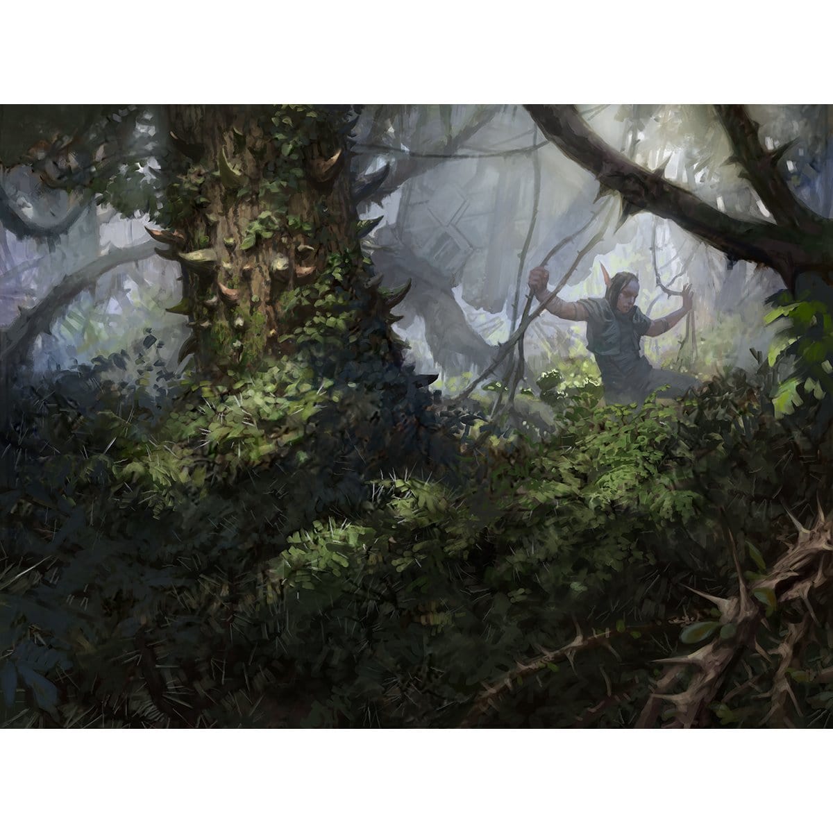 Vastwood Thicket Print