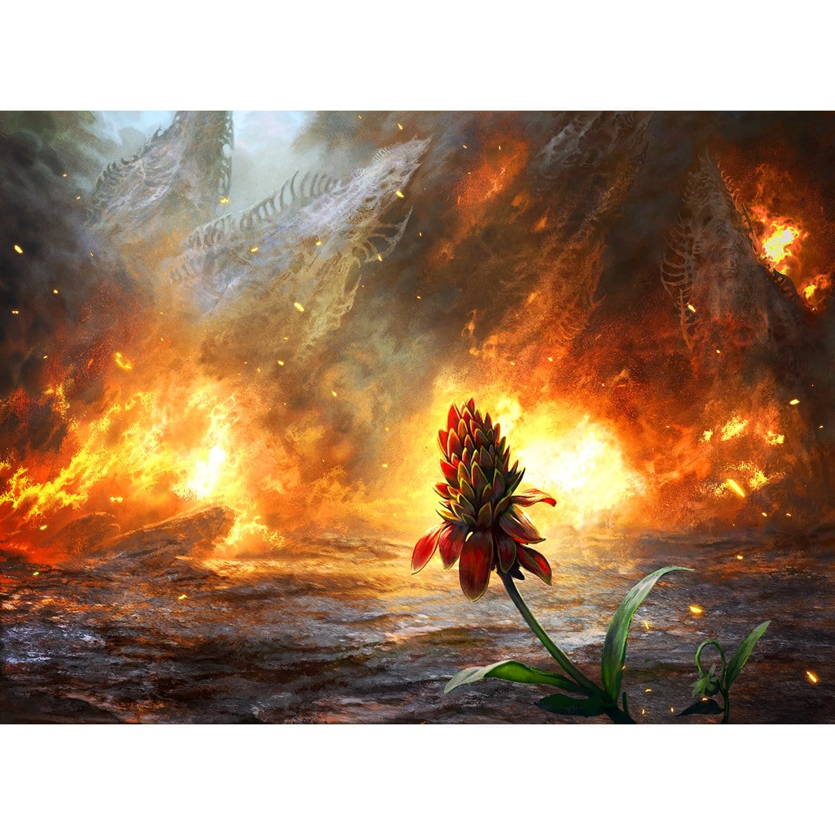 Cleansing Wildfire Print