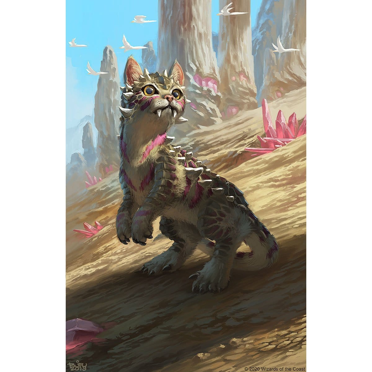 Cat Token