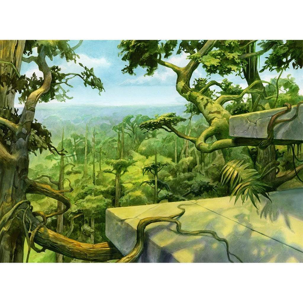 Forest (Shards of Alara) Print - Original Magic Art