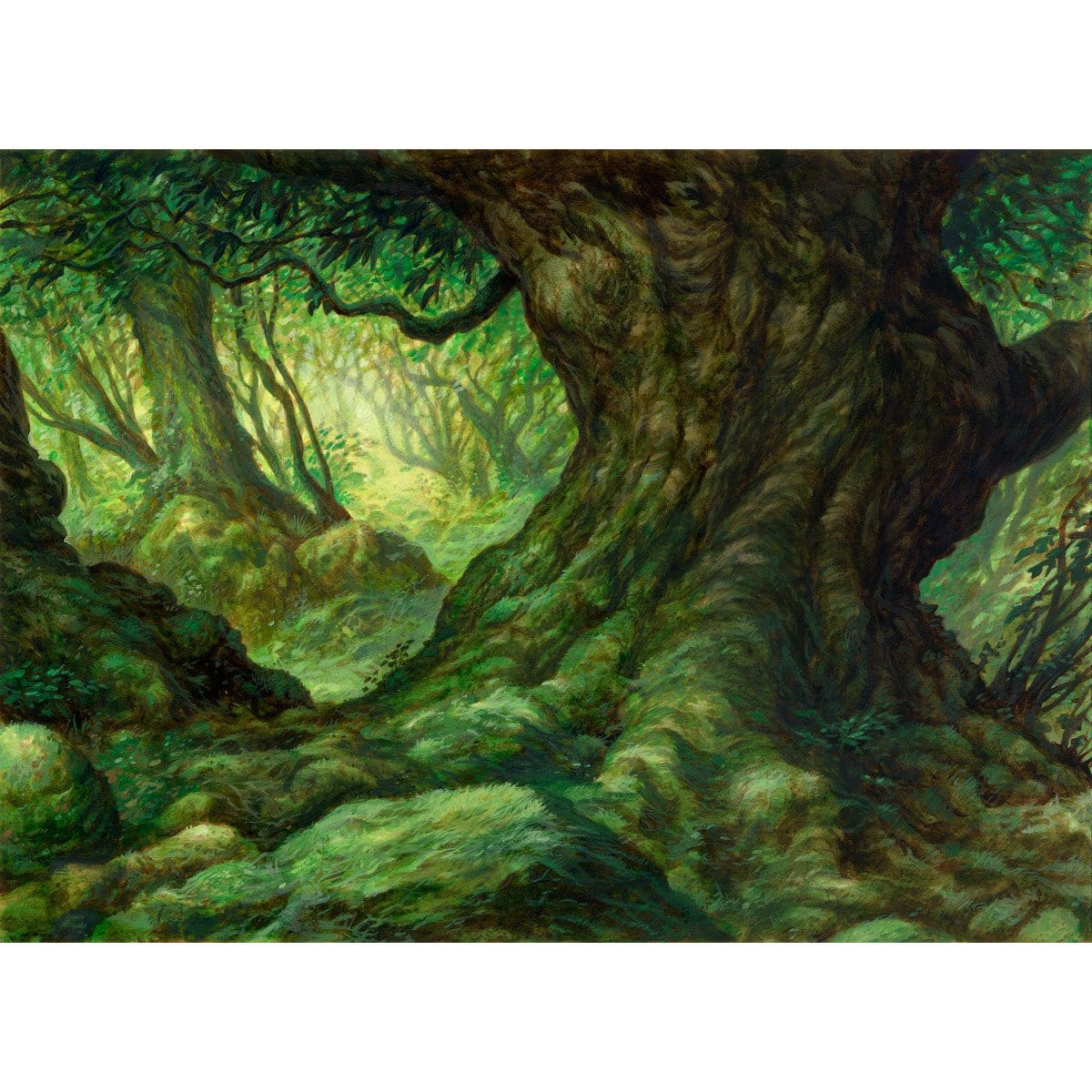 Forest Print - Print - Original Magic Art - Accessories for Magic the Gathering and other card games
