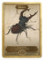 Insect Token (1/1) by Albrecht Dürer - Token - Original Magic Art - Accessories for Magic the Gathering and other card games