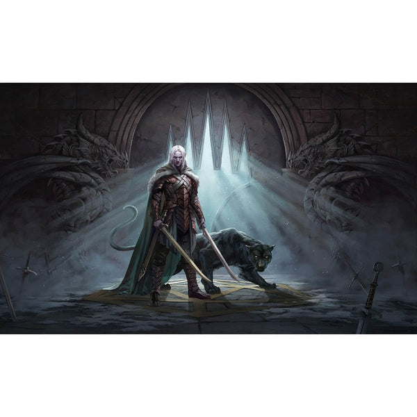 Adventures in the Forgotten Realms Key Art Print