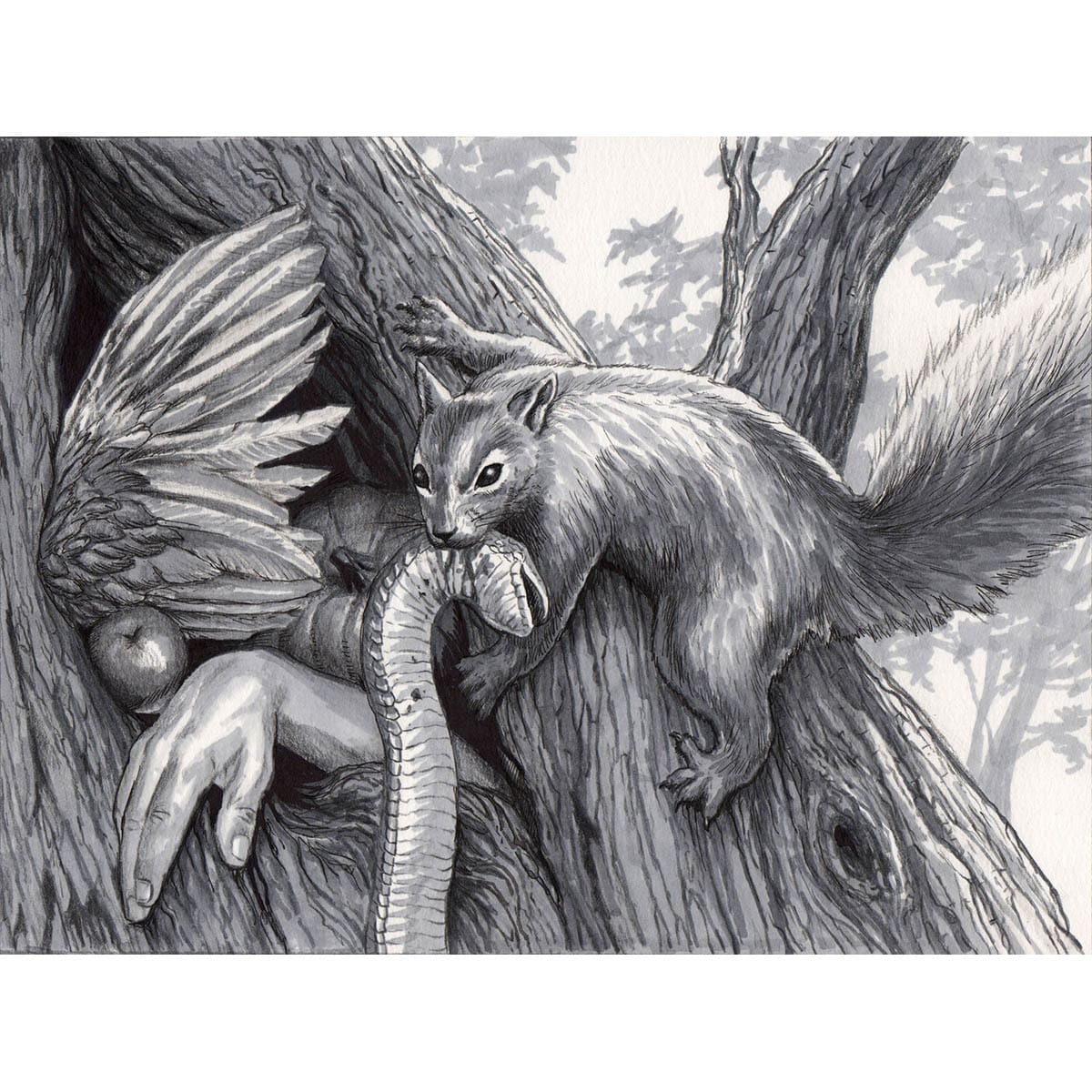 Ravenous Squirrel (Sketch) Print