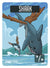 Shark Token (*/*) by Andrea Radeck