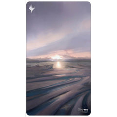 Snow-Covered_Swamp_240x.jpg?v=