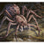 Spider Token Print - Print - Original Magic Art - Accessories for Magic the Gathering and other card games