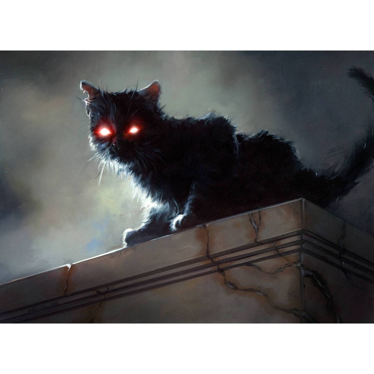 Black Cat Print - Print - Original Magic Art - Accessories for Magic the Gathering and other card games