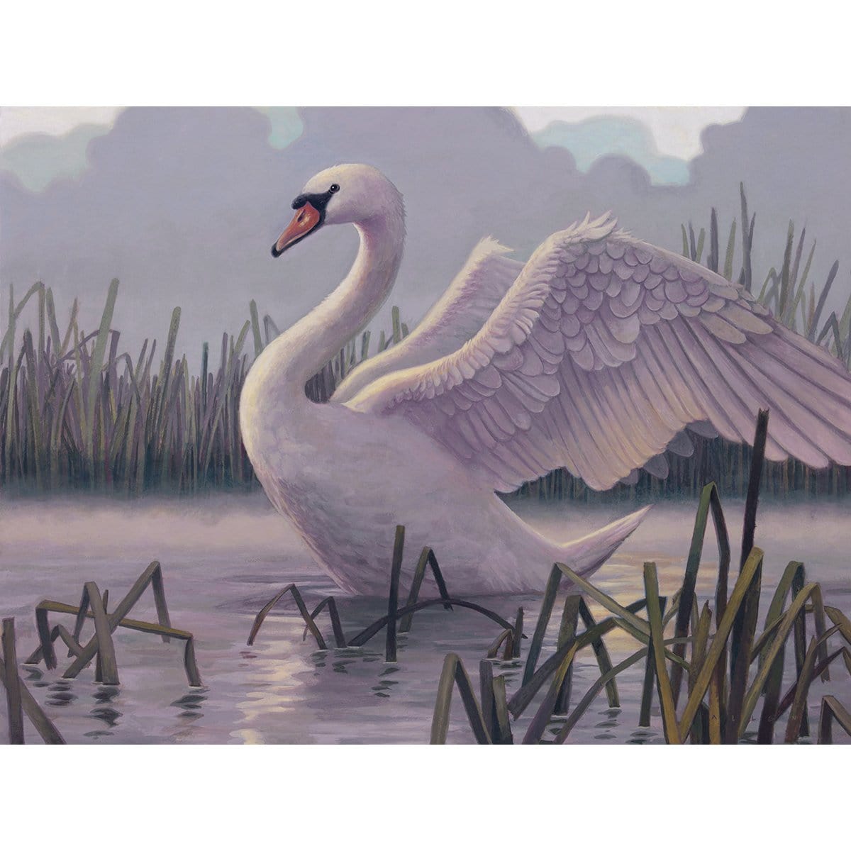 Swan Song Print